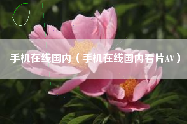手机在线国内（手机在线国内看片AV）