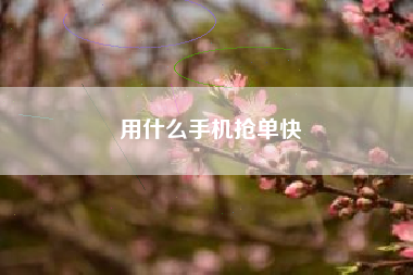 用什么手机抢单快