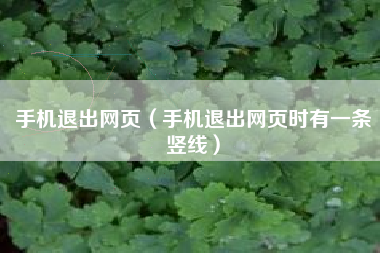 手机退出网页（手机退出网页时有一条竖线）