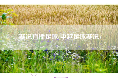 赛况直播足球(中越足球赛况)