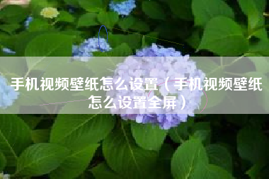 手机视频壁纸怎么设置（手机视频壁纸怎么设置全屏）