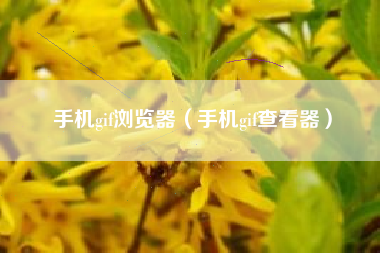 手机gif浏览器（手机gif查看器）