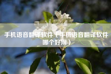 手机语音翻译软件（手机语音翻译软件哪个好用）