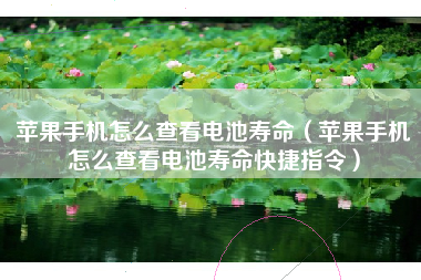 苹果手机怎么查看电池寿命（苹果手机怎么查看电池寿命快捷指令）