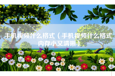 手机视频什么格式（手机视频什么格式内存小又清晰）