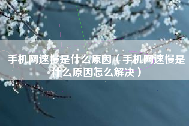 手机网速慢是什么原因（手机网速慢是什么原因怎么解决）