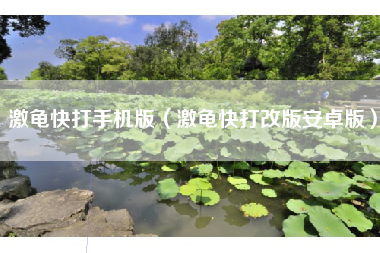 激龟快打手机版（激龟快打改版安卓版）