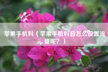 苹果手机料（苹果手机料音怎么设置流量呢？）