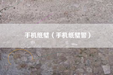 手机纸璧（手机纸璧警）