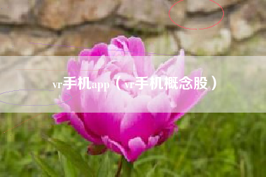 vr手机app（vr手机概念股）