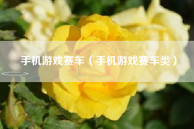 手机游戏赛车（手机游戏赛车类）