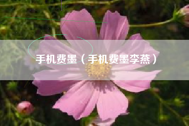 手机费墨（手机费墨李燕）