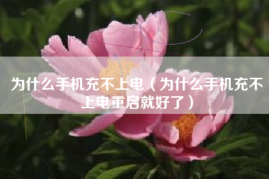 为什么手机充不上电（为什么手机充不上电重启就好了）