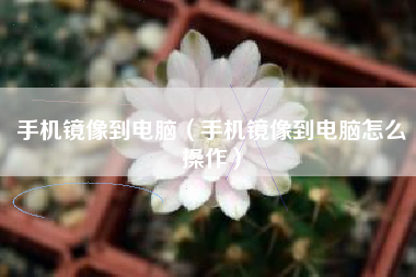 手机镜像到电脑（手机镜像到电脑怎么操作）