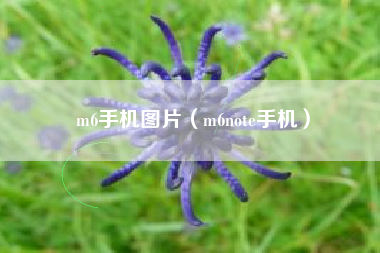 m6手机图片（m6note手机）