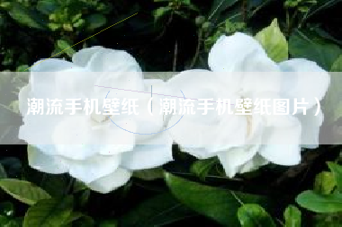 潮流手机壁纸（潮流手机壁纸图片）