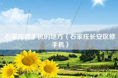 石家庄修手机的地方（石家庄长安区修手机）