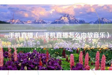 cc手机直播（cc手机直播怎么内放音乐）