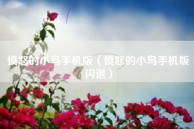 愤怒的小鸟手机版（愤怒的小鸟手机版闪退）
