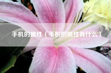 手机的属性（手机的属性有什么）