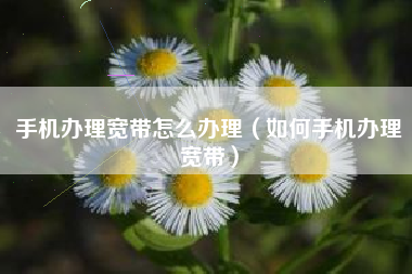 手机办理宽带怎么办理（如何手机办理宽带）