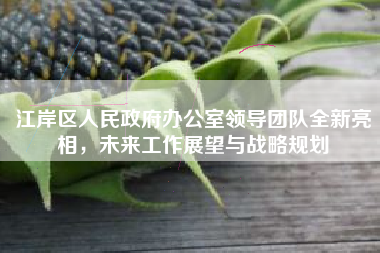 江岸区人民政府办公室领导团队全新亮相，未来工作展望与战略规划