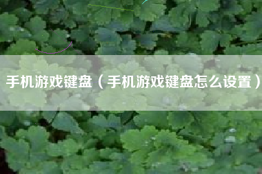 手机游戏键盘（手机游戏键盘怎么设置）