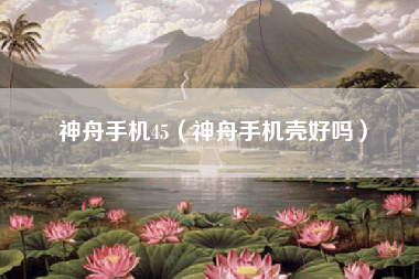 神舟手机45（神舟手机壳好吗）
