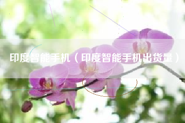 印度智能手机（印度智能手机出货量）