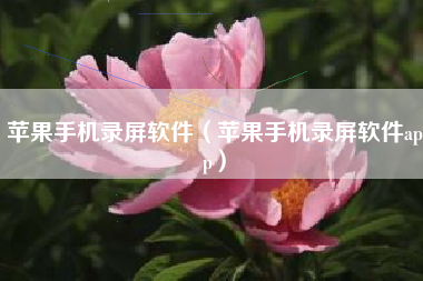 苹果手机录屏软件（苹果手机录屏软件app）
