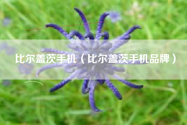 比尔盖茨手机（比尔盖茨手机品牌）