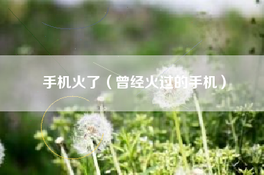 手机火了（曾经火过的手机）