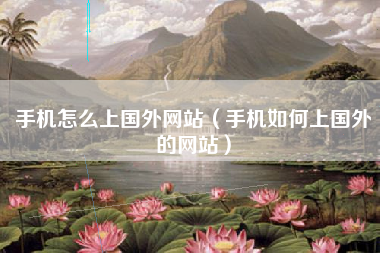 手机怎么上国外网站（手机如何上国外的网站）