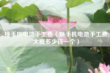 换手机电池手工费（换手机电池手工费大概多少钱一个）