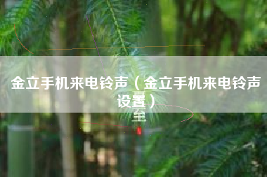 金立手机来电铃声（金立手机来电铃声设置）