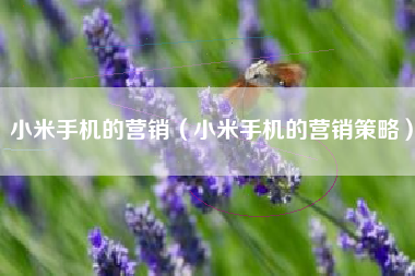 小米手机的营销（小米手机的营销策略）