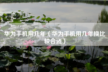 华为手机用几年（华为手机用几年换比较合适）