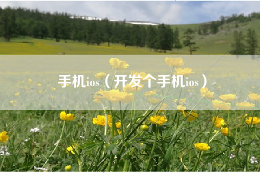 手机ios（开发个手机ios）