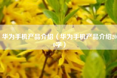 华为手机产品介绍（华为手机产品介绍200字）