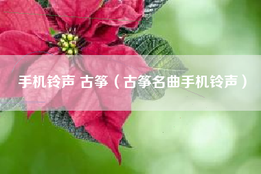 手机铃声 古筝（古筝名曲手机铃声）