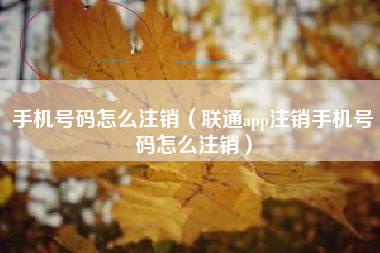 手机号码怎么注销（联通app注销手机号码怎么注销）