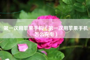 第一次用苹果手机（第一次用苹果手机怎么充电）