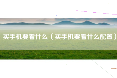 买手机要看什么（买手机要看什么配置）