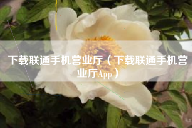 下载联通手机营业厅（下载联通手机营业厅App）