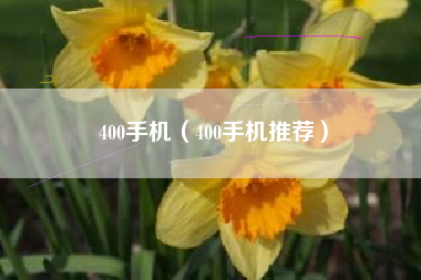 400手机（400手机推荐）