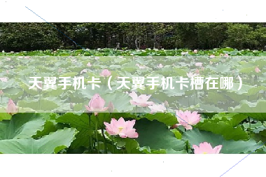 天翼手机卡（天翼手机卡槽在哪）