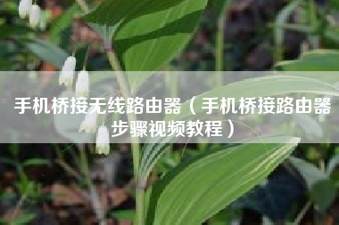 手机桥接无线路由器（手机桥接路由器步骤视频教程）