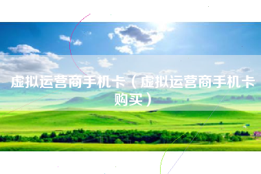 虚拟运营商手机卡（虚拟运营商手机卡购买）