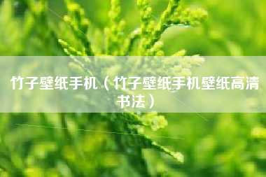 竹子壁纸手机（竹子壁纸手机壁纸高清书法）