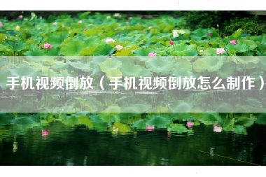 手机视频倒放（手机视频倒放怎么制作）